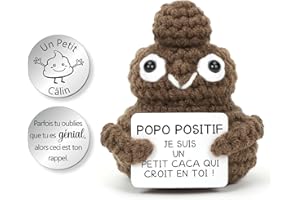 Aurasky Positive Poop, Mignon Tricot Jouet Caca avec Carte Positive et Câlin Porte Bonheur, Mini Motivantes Tricotée Caca, Drôle Cadeaux pour Homme Femme Enfant Couple Collègue