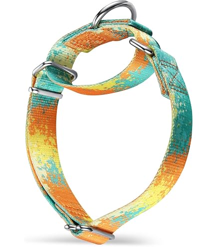 Haoyueer Martingale-Hundehalsband Aus Strapazierfähigem Nylon, Verstellbar Größe M (36–45 Cm), Pfingstrosen-Blumen Design – Perfekt Für Spaziergänge & Training