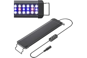 Pawfly Luces para acuarios 11W para Peceras de 30-45 cm Extensible, Espectro Completo con Luces Blanca y Azul, Modos Día/Noche, Brillo Ajustable, Iluminación LED para Acuarios