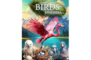 Birds Ephemera Book: High Quality Images Of Animals For Paper Crafts, Scrapbooking, Mixed Media, Junk Journals, Decorative Art, Artist Trading Cards, and More.