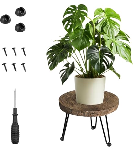 Support De Pot De Fleur En Bois Style Chinois – Base Boule De Cristal, Présentoir Élevé Pour Plantes D'Intérieur Et Bonsaï