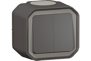 LEGRAND | Plexo Double Interrupteur Ou Va-Et-Vient Ou Poussoir, Étanche IP55, Finition Anthracite, Installation En Saillie