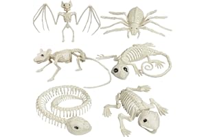 AOFOX Scheletri Animali di Halloween, 6 Pezzi Scheletro Animale Yard Case Decor Animali Cimitero Prop per Haunted House Halloween Party Decor