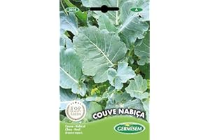 Germisem graines Chou NABIÇA