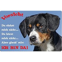 BERNER Sennenhund Metall-Warnschild – 30,5 X 20 Cm, Aluminium 0,5 Mm | Hundeschild Für Garten & Einfahrt