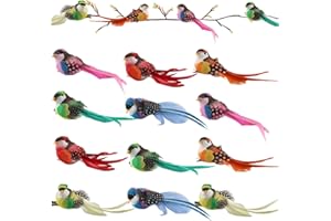 DWAFILL Uccelli decorativi da giardino in piuma artificiale, 12 pezzi, multicolore, decorazione da giardino con clip, uccellini con piume, rosso, blu, giallo, rosa, arancione, turchese