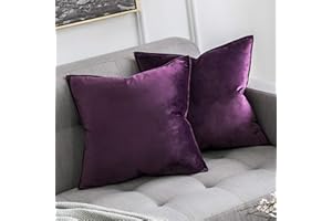 MIULEE Pack of 2 Velvet Soft Decorative Square Throw Pillow Case Flanges Cushion Covers Pillowcases for Livingroom Sofa Bedroom with Invisible Zipper 45cm x 45cm 18x18 Inch Set of Two Aubergine