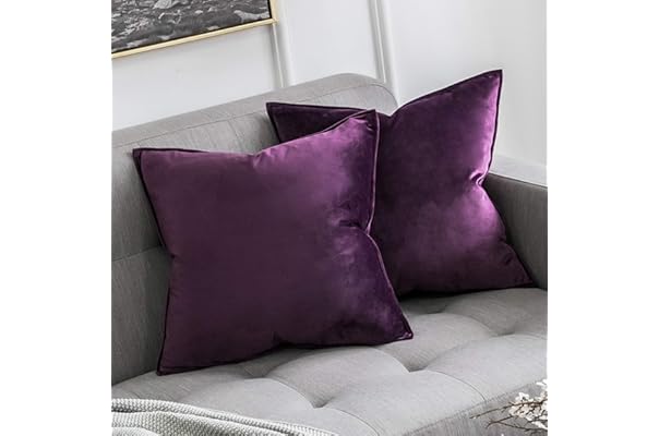 amazon pillows for sofa