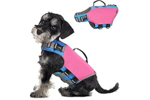 VavoPaw Gilet de Sauvetage pour Chien, Gilet de Flottaison en Oxford avec Poignée Chat, Gilet de Natation Réglable pour Animaux de Compagnie, Veste de Flottaison Animal pour Navigation, S, Rouge Rose