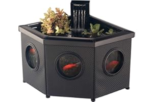 Blagdon Affinity View Corner Living Water Feature Eckteichbecken für Wasserlebewesen, mit Sichtfenster, Inpond 5-in-1-Filterpumpe 2000, LED-Strahler, 3 schönen Springbrunnenköpfen, 1 Pflanzkorb