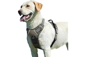 Eagloo Pettorina Cane Taglia Grande, Pettorina ad h, Pettorina Antifuga Cane, Pettorina Anti Tiro per Cani con Doppio Gancio, Imbracatura Robusto e Regolabile per Addestramento, L, Marrone