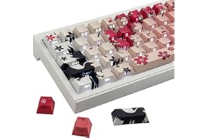 JakeTsai Lot de 135 Touches de Clavier en Pbt Transparentes gravées sur Le côté pour commutateurs Cherry MX ASIN/ISO Disposition Clavier Mécanique