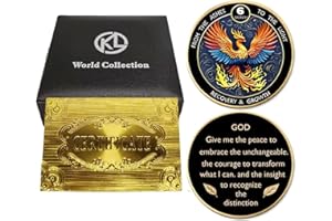 JOFANVIN Phoenix 6 Months Sobriety Commemorative Gift Set Recovery Anniversary Gift AA/NA Inspirational Medallion Unisex Sobriety Milestone Keepsake with Exquisite Coin Storage Boxes