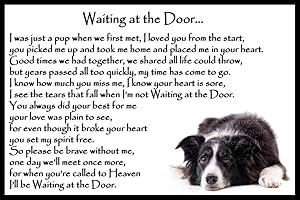 COUNTRYSTYLE GIFTS Border Collie pet dog memorial bereavement Flexible Fridge Magnet - Waiting at the Door