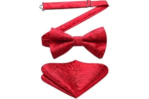 HISDERN Papillon Uomo e fazzoletto - gia annodato e regolabile per festa di nozze