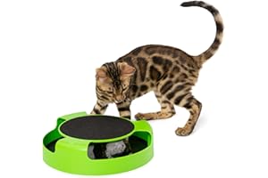 ASAB Prime Paws Meow Chat Chaton Attraper la Souris de Jeu Jouet interactif en Peluche à Griffe Tapis Zizzi