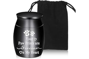 UINNOSSVC Kleine Edelstahl Urne - Wasserdicht Mini Denkmal für Beerdigung und Feuerbestattung - Andenken Behälter für Mensch und Hund