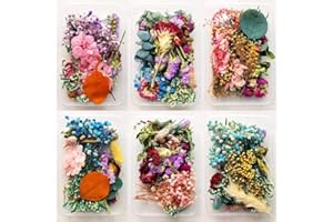 UOEO 5 Boxes Natural Dried Flowers Real Mixed Pressed Flowers DIY Arrangement for Art Craft Soap Making Epoxy Resin Candle Scrapbooking Random Color