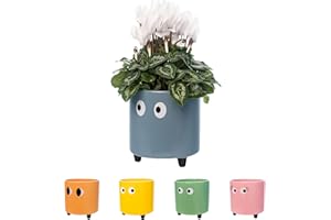 FISURA. Fisura - Pot de fleurs original avec motif d'œil. Pot de fleurs et de plante décoratif. Jardinière décorative d'intérieur. Pot en céramique bleue pour fleurs et plantes grasses.13 x 12,5 cm.