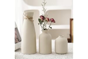 Sawoake Beige Keramik Vasen 3er-Set Kleine Blumenvasen für Dekor, Moderne rustikale Bauernhaus Home Decor, Dekorative Vasen für Pampas Grass Idee Regal (Beige)