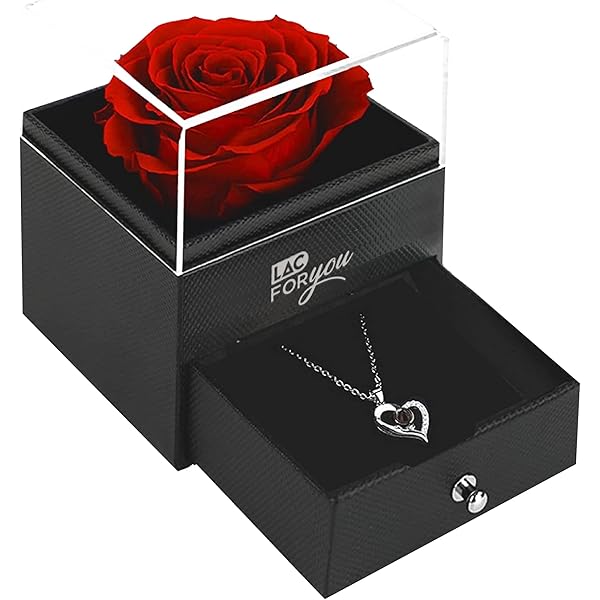 Rozen met een Ketting in Doosje - Hart Ketting - Cadeau voor Haar