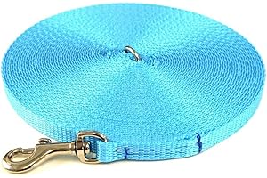 CHURCH PRODUCTS UK Puppy Training Lead Small Dog Recall Obedience Training Leash 10ft (3m) in 13mm Strong Webbing in (Sky Blue)