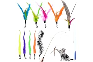 ACOMTUO Katzenspielzeug 12 Stück，Interaktives Katzenspielzeug Feder mit 2 STK Versenkbare Katzenangel Ersatz und 10 STK Feder Spielzeug mit Glocken