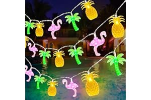DIELIANHUA Guirlande Lumineuse Tropicale, 3 M 20 LED Guirlande Lumineuse Hawaïen, Fairy Lights Hawaïenne, Idéal Pour Une Fête Hawaïenne Intérieure Ou Extérieure, Une Fête Estivale Ou Une Décoration De Plage
