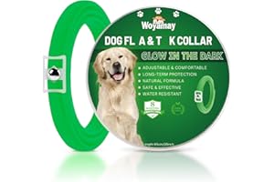 Woyamay Collier Anti Puces pour Chien, Lumineux Collier Chien pour Anti Puces Chien Réglable et Résistant à l'eau, 8 Mois de Protection Collier Antiparasitaire pour Chien Tous âges, Vert