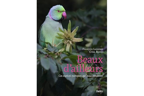 Beaux d'ailleurs: Ces espèces exotiques qui nous entourent