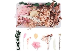 WJIAEER Fleurs séchées naturelles séchées en relief Fleurs préservées Résine Bijoux DIY Bougie Ongles Artisanat Scrapbooking Décoration florale（O）. (I)