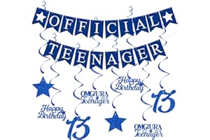 Elicola 13th Birthday Decorations Official Teenager Banner Bunting with 8PCS Blue Hanging Swirls Streamers Happy 13th Birthday for Boys Party Decorations