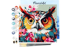 Figured'Art Mini Pintar por Números 20x20cm con marco para Adultos Búho Fantasía con Flores - Manualidades con pintura acrílica - Kit Cuadro DIY completo
