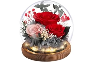 Emibele Christmas Eternal Rose Gifts for Mom, Preserved Real Rose in Glass Dome with LED Light for Decoration, Flowers for Delivery Prime, Gifts for Women Wife Her on Mother's Day Birthday, Red