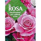 La rosa. Classificazione, cure colturali, scelta