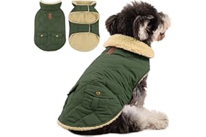 Queenmore Hundemantel Winter Mittelgroße Hunde Warme Wintermantel Hund Fleece Hundejacke Wasserdicht Quilten Hundebekleidung Hundepullover Für Greyhound Dackel Bulldogge Beagle Pitbull, Grün, M
