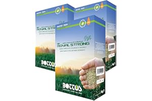 BOTTOS Semi per Prato Royal Strong Plus 1 Kg OFFERTA 3 CONFEZIONI, Sementi Conciate, 100% Festuca Arundinacea Tappeto Erboso