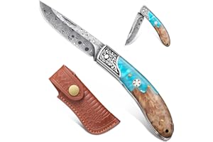 Freelander Couteau pliant, Couteau de poche de survie aiguisé avec étui en cuir, Couteau pliant multifonctionnel pour le camping, la randonnée et la survie (Bleu)