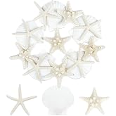 TaoQ C 15 Pieces Natural Starfish Shells, 5-9 cm White Hybrid Starfish Seashells for Crafts Weddings Decorate Beach Themed Pa