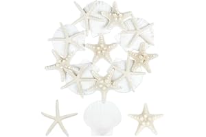 TaoQ C 15 st sjöstjärna och kammusslor, 5 cm – 10 cm naturliga snäckskal, vita snäckskal, stora snäckskal, för hantverk, bröllopsdekor, strand, temafest, akvarium och vasfyllning