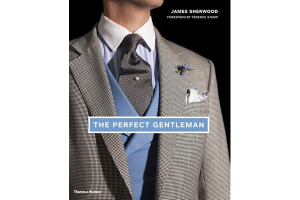 The Perfect Gentleman The Pursuit of Timeless Elegance and Style in London /anglais
