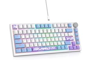 SbocKeeb Tastiera meccanica con guarnizione al 75%, tastiera RGB meccanica cablata personalizzata TKL al 75% sostituibile a caldo con cuscinetti fonoassorbenti, QWERTY americana programmabile