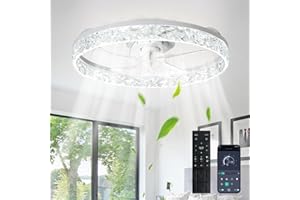 Depuley 20-Inch Ceiling Fans with Lights: LED Ceiling Fan with Remote & APP Control - Low Profile Ceiling Fan with 6 Speeds & 3 Color Temperature - Dimmable Flush Mount Fan Light for Bedroom - White