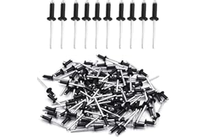 BIGLUMIN Biglumi 100 Pezzi Rivetti in Alluminio con Testa Larga, Rivetti Alluminio, 4 mm x 10 mm, Rivetti pop Rivetti Aperti