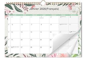AEYAKA Calendrier Mural 2026, Calendrier Mensuel à Suspendre avec Vacances, 14 Mois (Nov. 2025 – Déc. 2026), Phases Lunaires, 29 x 41 cm, Français (Fleurs 2)
