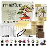 CULTIVEA&reg; 10 Bonsai Growing Kit &ndash; Complete Bonsai Growing Kit with Seeds, Pots and Tools &ndash; Indoor Bonsai for Beginners &ndash; Eco-
