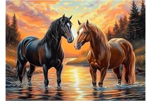 CEOVR Diamond Painting Caballo,5D Diamond Painting Kit Completo Animales,Pintura de Diamantes Arte 30x40 cm,DIY Puesta de Sol Diamond Painting Kits,Diamond Art Kits Adulto Principiante