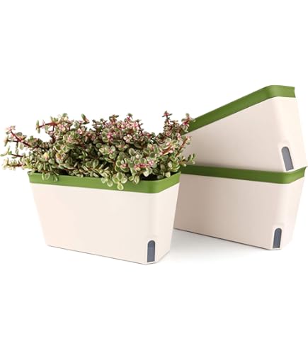 Gracia Rechthoekige bloempot, 24 x 58 x 23,5 cm, voor binnen en buiten, plantenpot, tuinplantenbak met afneembaar deksel, kruidenpot, bloembak