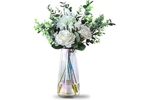 DRERIO Wazon na kwiaty, kolorowy szklany wazon w nowoczesnym szklanym wazonie, wysoki wazon, dekoracja, nowoczesny do domowego biura, salonu, elementy środkowe, 22 × 10 cm