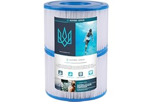 Alford & Lynch Replacement Filter for Intex 29001000000, Intex-29001E PureSpa Type S1 Easy Set Pool Filter Cartridges (2)